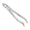 Extracting forceps, anat.