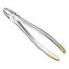Extracting forceps, anat.