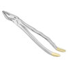 Extracting forceps, anat.
