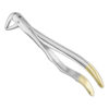 Extracting forceps, anat.