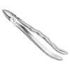 Extracting forceps, anat.