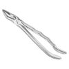 Extracting forceps, anat.