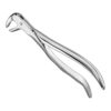 Extracting forceps, anat.