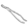 Extracting forceps, anat.