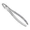 Extracting forceps, engl.