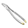 Extracting forceps, engl.
