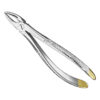 Extracting forceps, engl.