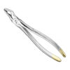 Extracting forceps, engl.