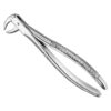 Extracting forceps, engl.