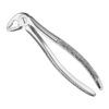 Extracting forceps, engl.
