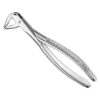 Extracting forceps, engl.