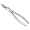 Extracting forceps, engl.