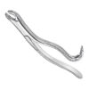 HARRIS, extr.forceps