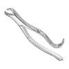 Extracting forceps, american patt.