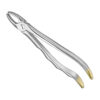 Extracting forceps, anat.