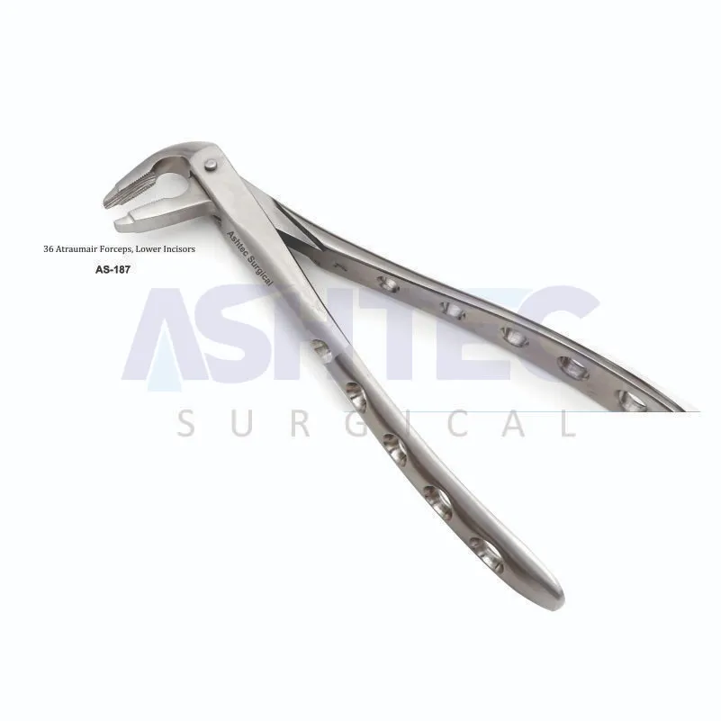 36 Atraumair Forceps. Lower Incisors