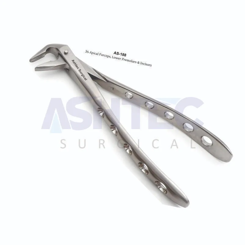 36 Apical Forceps. Lower Premolars & Incisors
