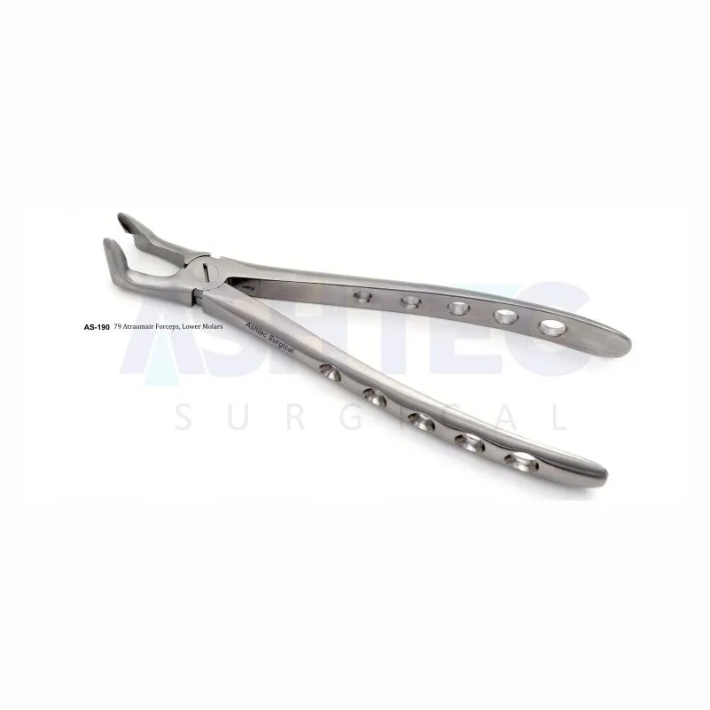79 Atraumair Forceps. Lower Molars