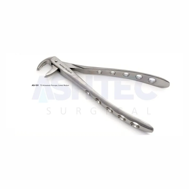 73 Atraumair Foeceps, Lower Molars