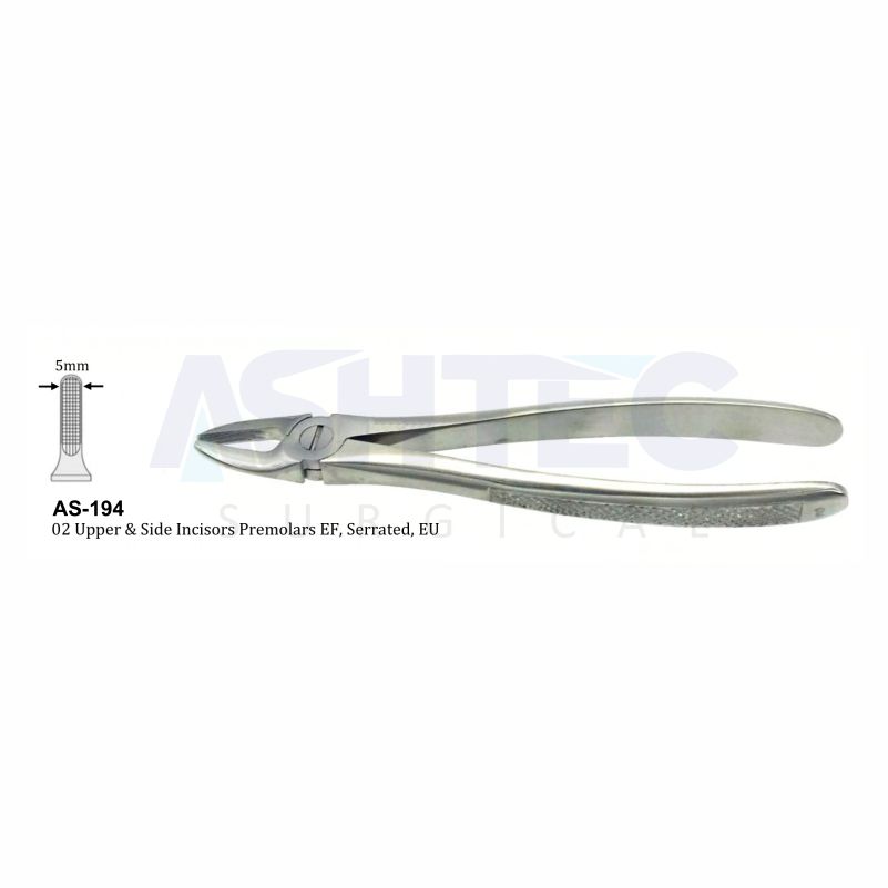 02 Upper & Side Incisors Premolars EF, Serrated, EU
