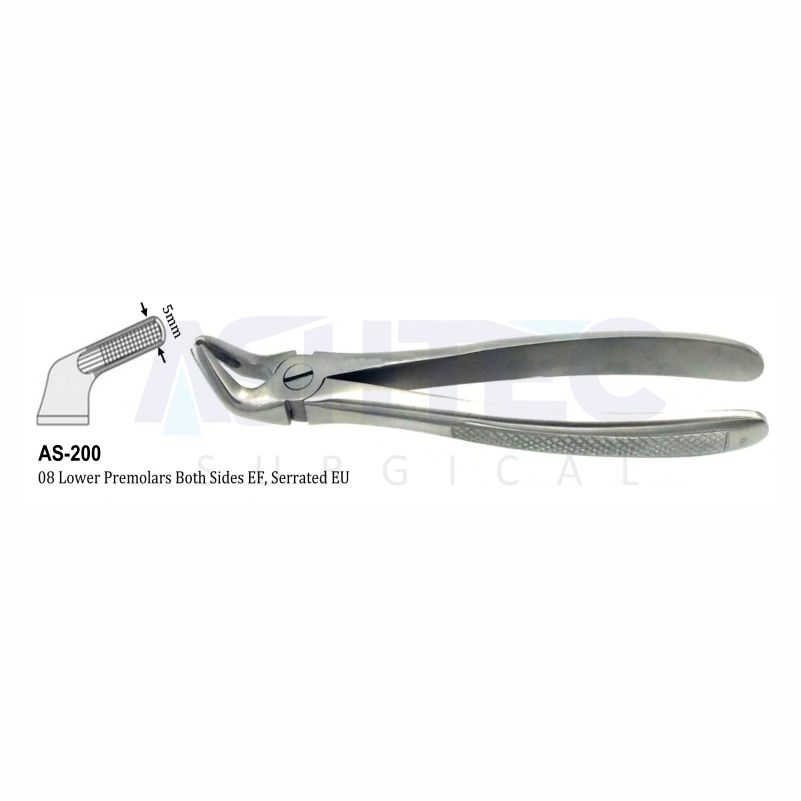 08 Lower Premolars Both Sides EF, Serrated EU