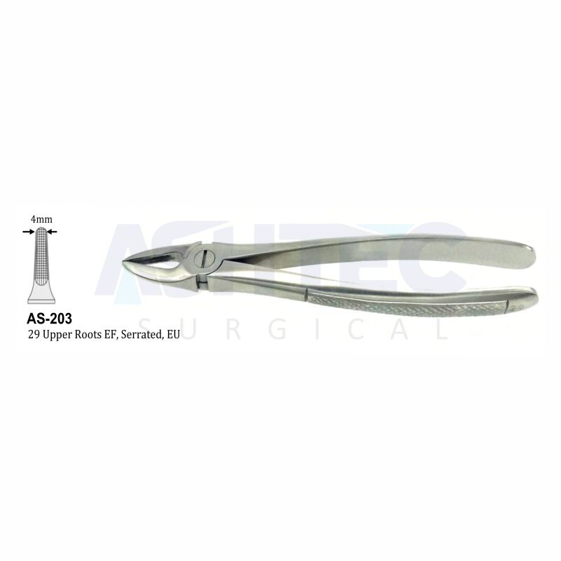 29 Upper Roots EF, Serrated, EU