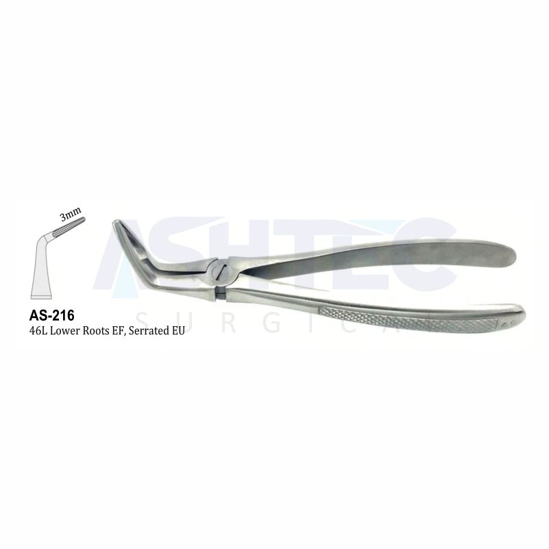 46L Lower Roots EF, Serrated EU