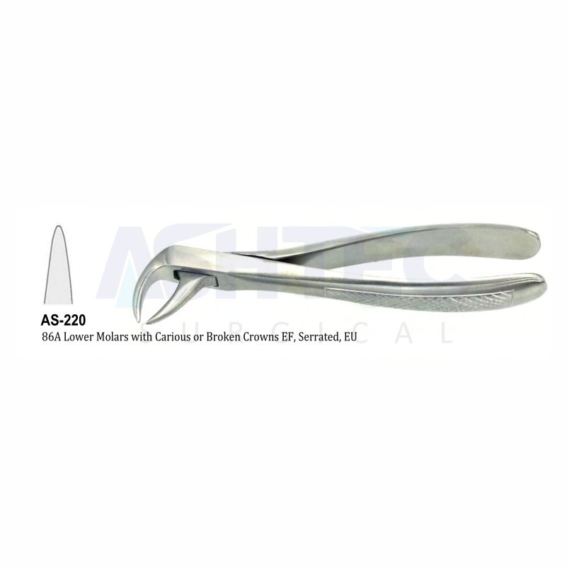 86A Lower Molars with Carious or Broken Crowns EF, Serrated, EU