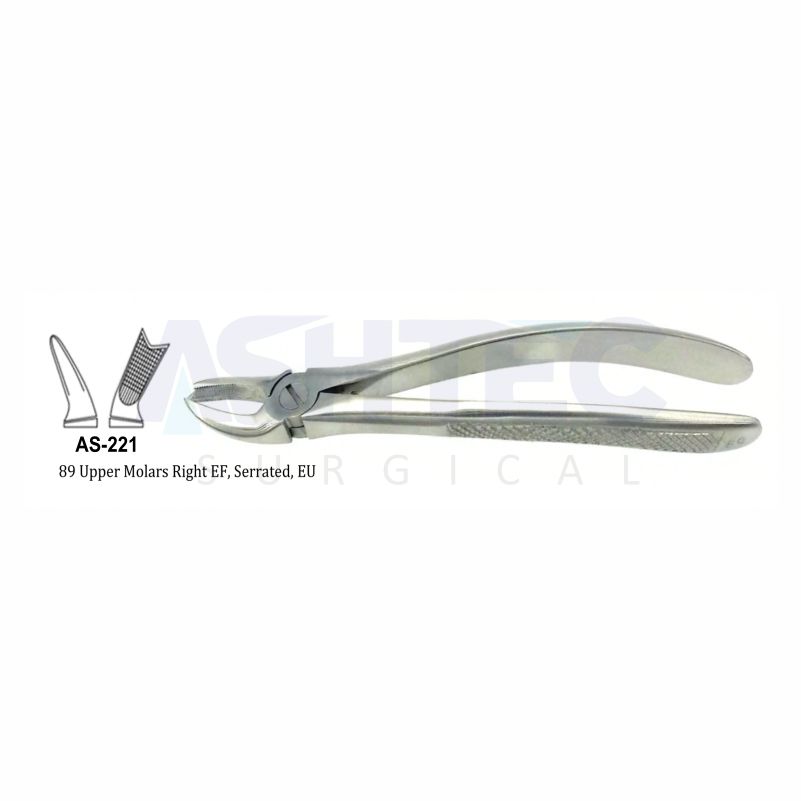 89 Upper Molars Right EF, Serrated, EU