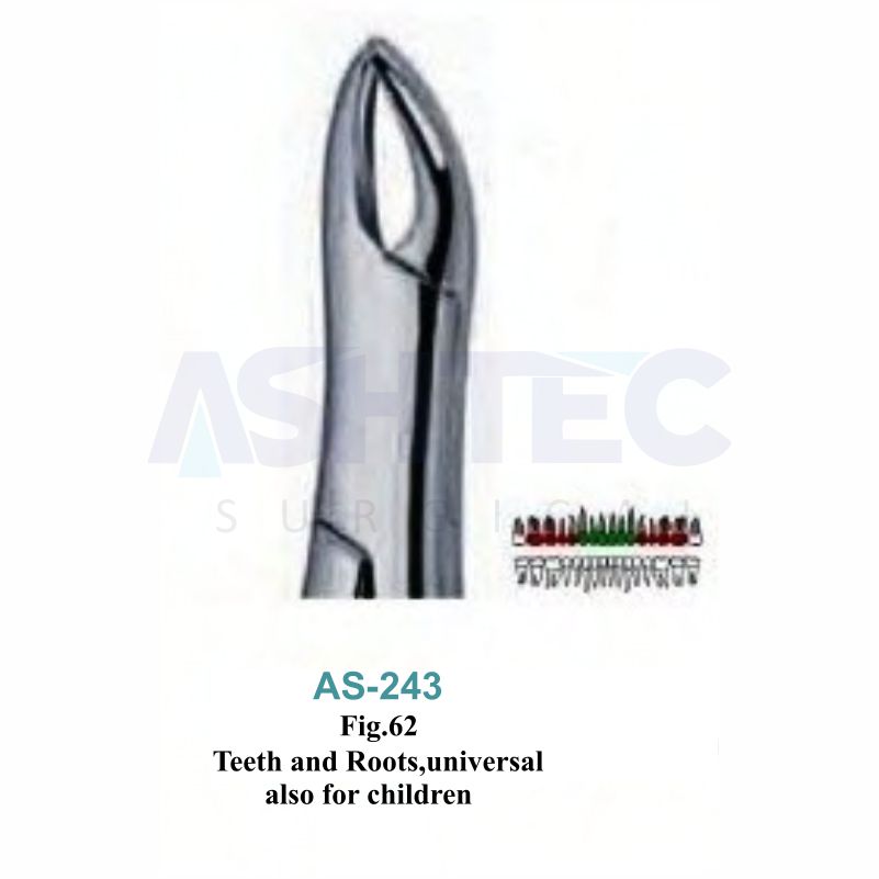 Teeth and Roots, Universal Also For Children