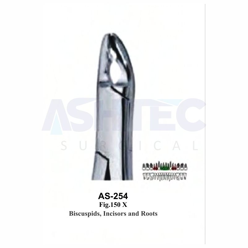 Biscuspids, Incisors and Roots