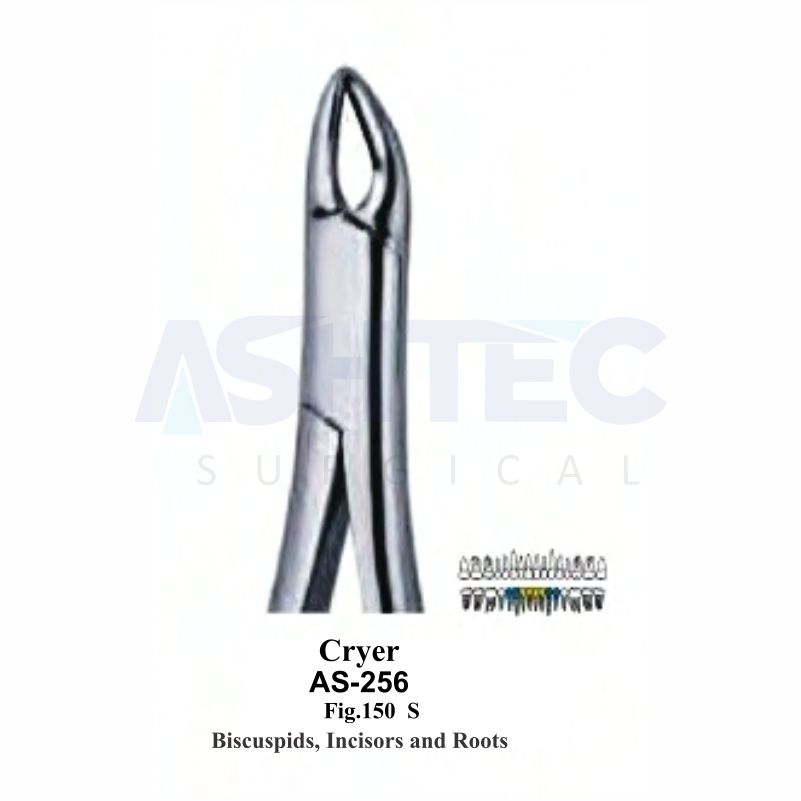 Cryer Biscuspids, Incisors and Roots